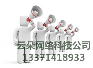 云朵網絡 專業SEO優化外包服務，科技賦能網絡營銷推廣